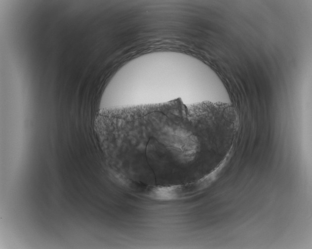 X0000116380178200912020953