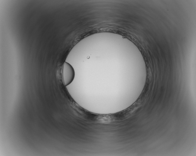 X0000116380181200912020953