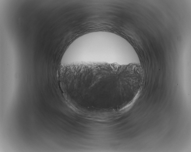 X0000116380182200912020953