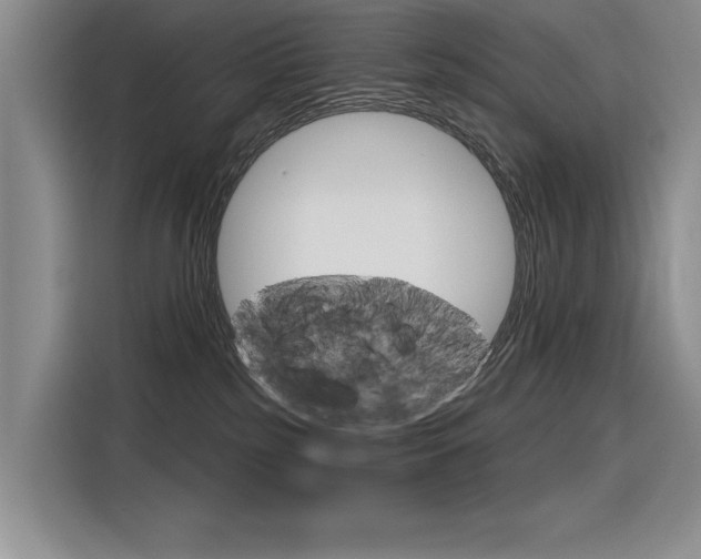 X0000116380185200912020953