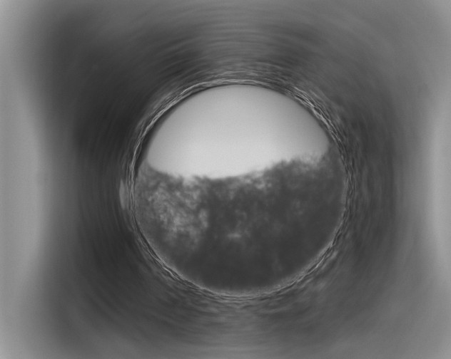 X0000116380194200912020952