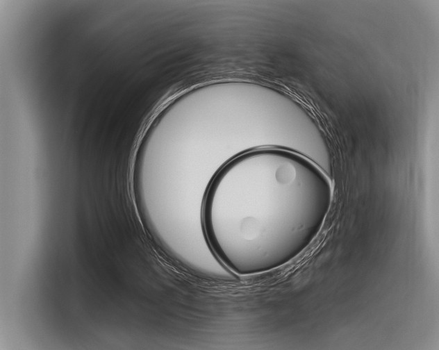 X0000116380195200912020952