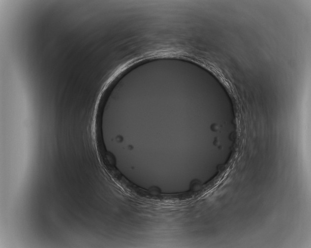 X0000116380196200912020952