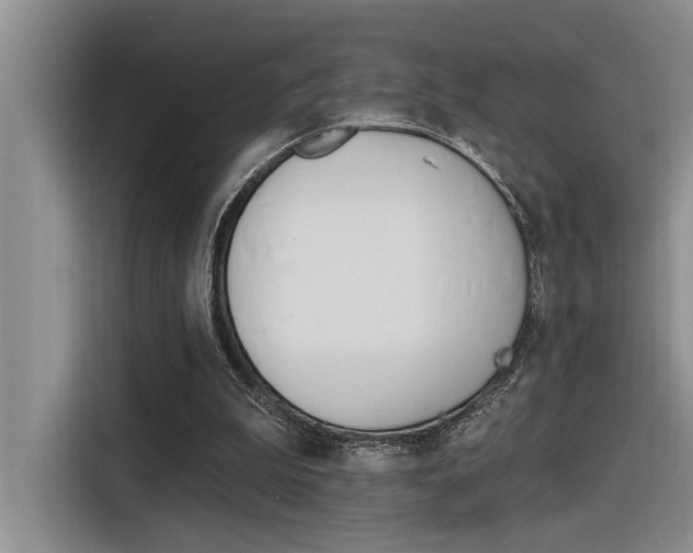 X0000116380199200912020952