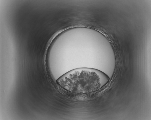 X0000116380200200912020952