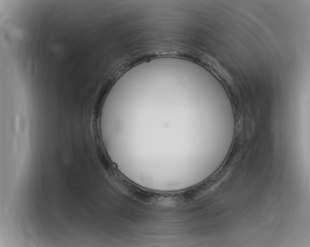 X0000116380209200912020952