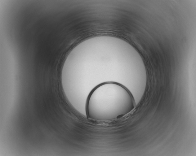 X0000116380211200912020952