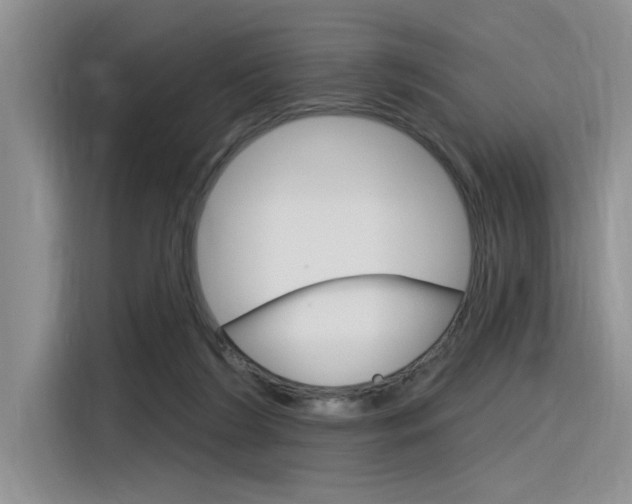 X0000116380212200912020952