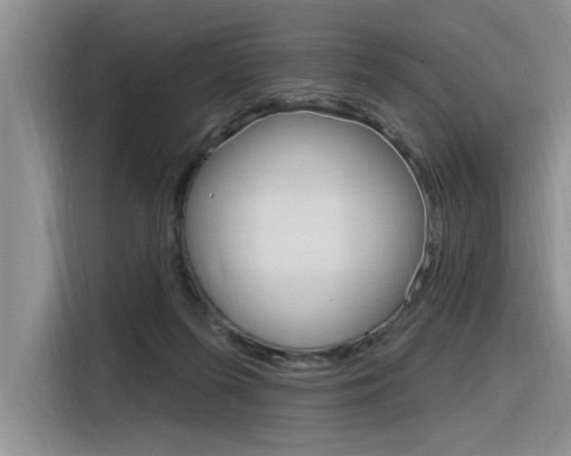 X0000116380215200912020952