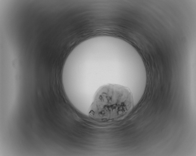 X0000116380219200912020952