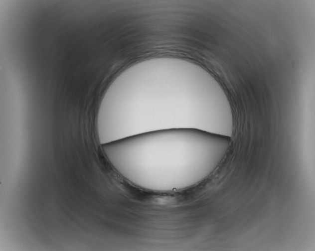 X0000116380220200912020952