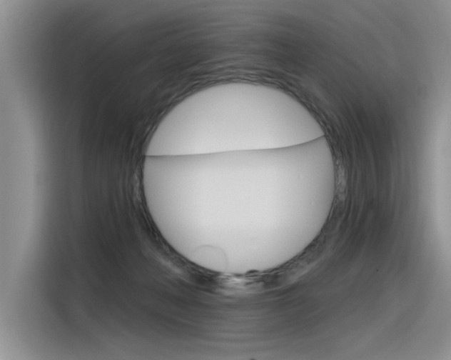 X0000116380222200912020952