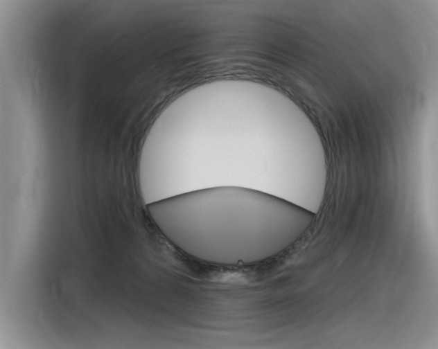 X0000116380224200912020952