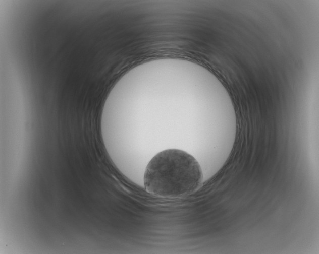X0000116380227200912020952