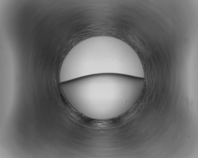 X0000116380229200912020952
