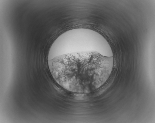X0000116380230200912020952