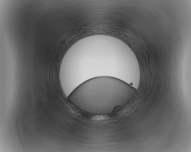 X0000116380231200912020952