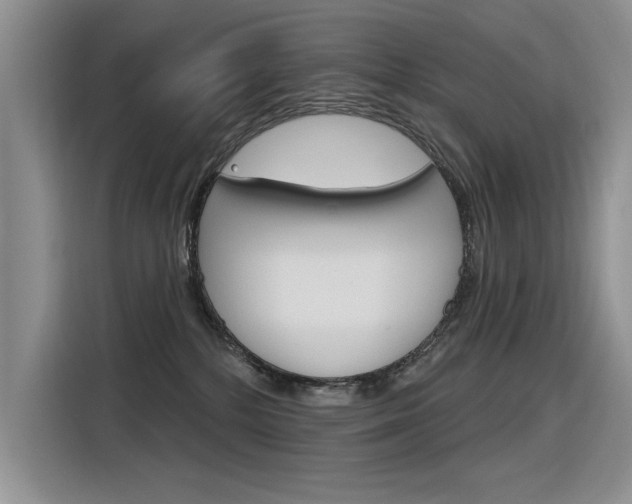X0000116380232200912020952