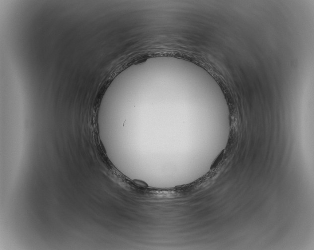 X0000116380233200912020952