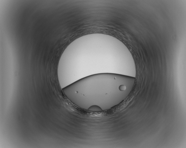 X0000116380235200912020952