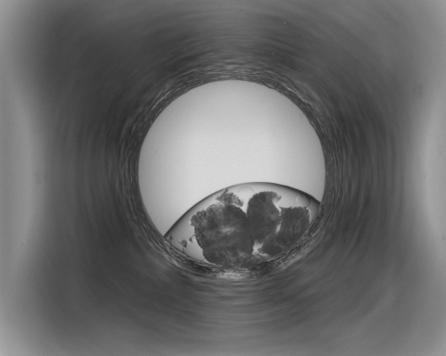 X0000116380236200912020952