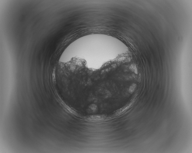 X0000116380238200912020952