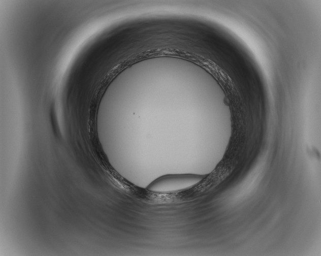 X0000116380239200912020952