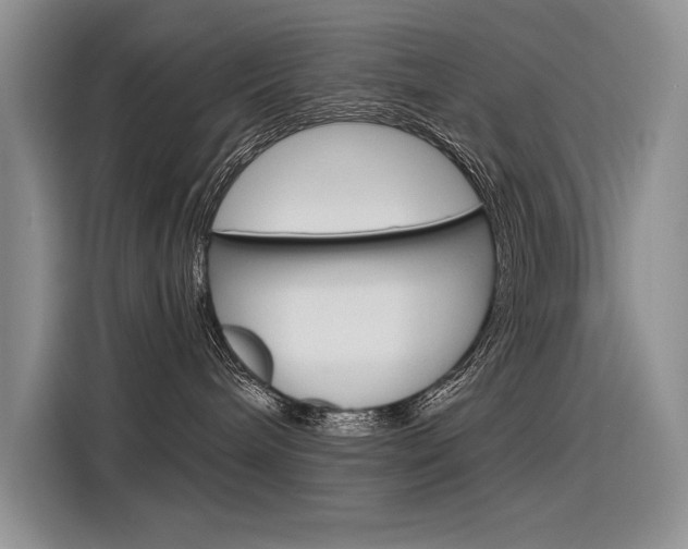 X0000116380240200912020952