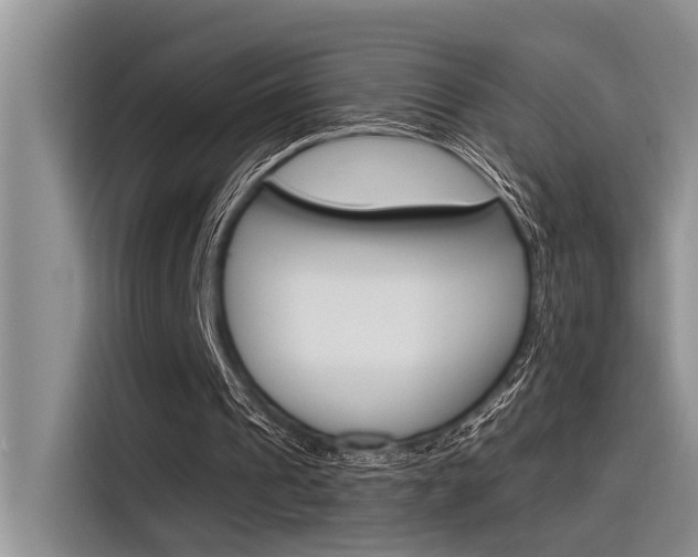 X0000116380241200912020951