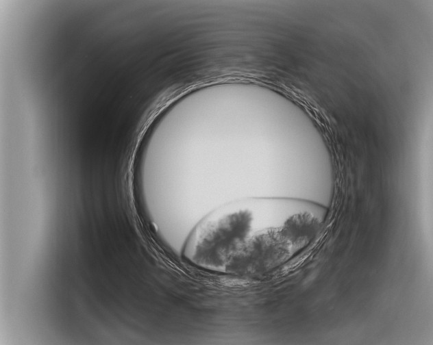X0000116380242200912020951