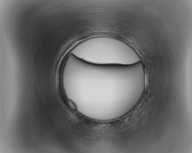X0000116380243200912020951