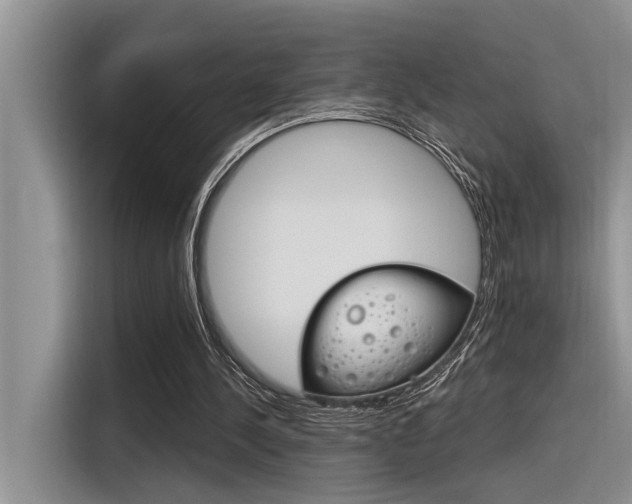 X0000116380244200912020951