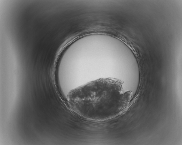 X0000116380245200912020951