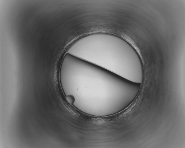 X0000116380249200912020951