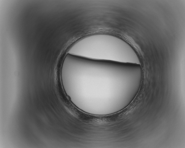 X0000116380250200912020951