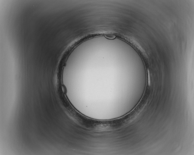 X0000116380252200912020951