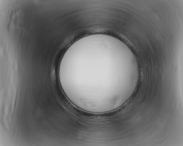 X0000116380254200912020951