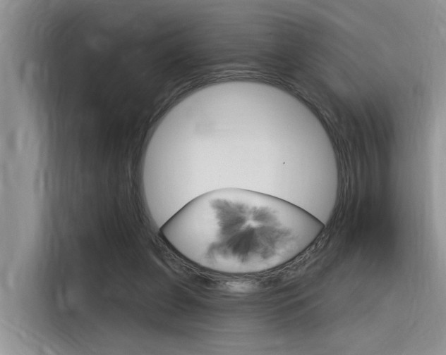 X0000116380255200912020951