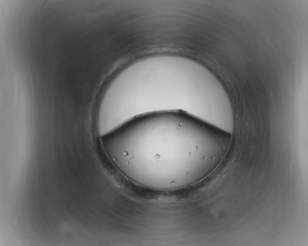 X0000116380256200912020951