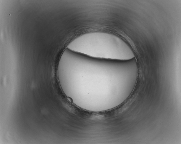 X0000116380257200912020951