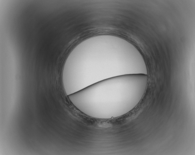 X0000116380258200912020951