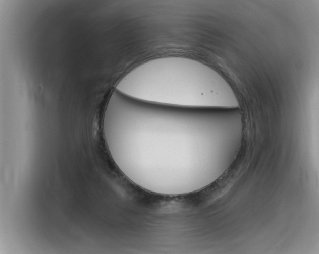 X0000116380259200912020951