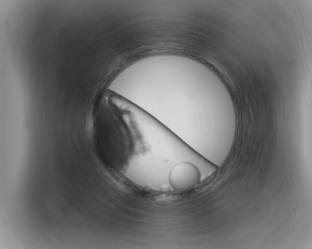 X0000116380261200912020951