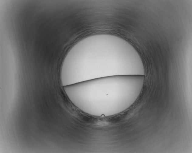 X0000116380262200912020951