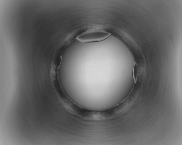 X0000116380264200912020951