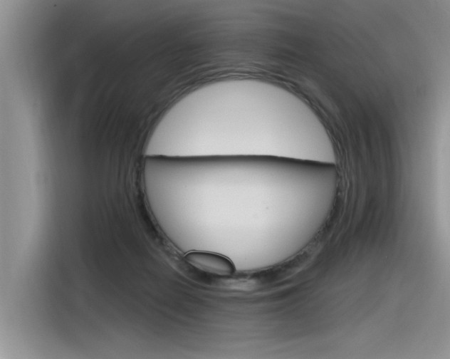X0000116380266200912020952