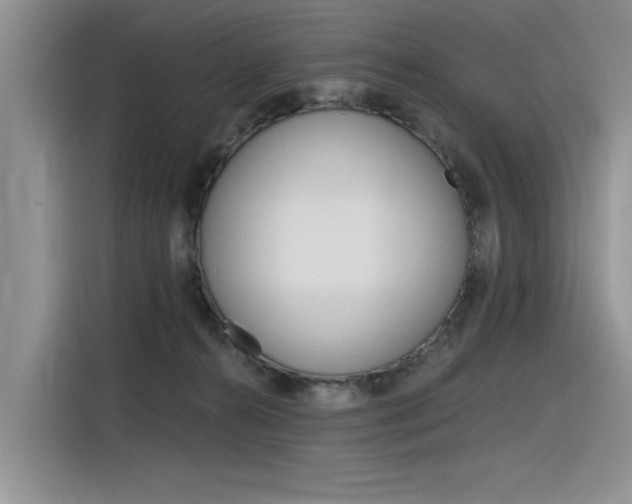 X0000116380272200912020952