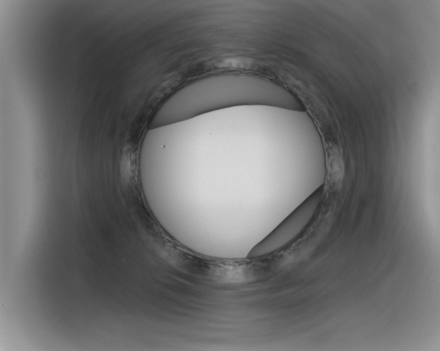 X0000116380276200912020952