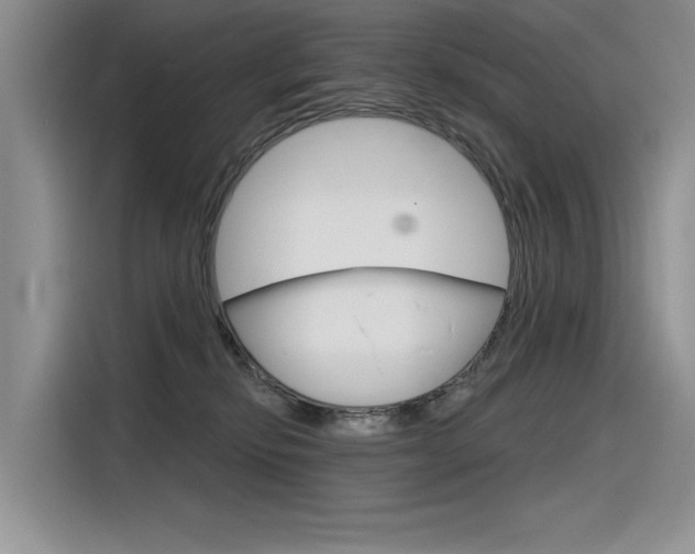 X0000116380278200912020952