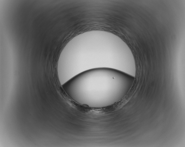 X0000116380280200912020952